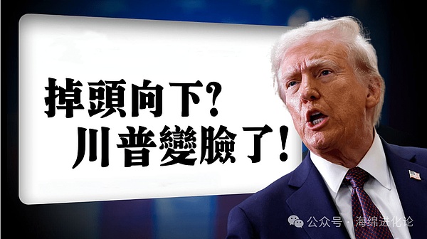 模块化区块链革命：当Celestia遇见了Polkadot